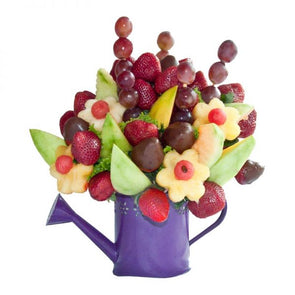 FLORES Y COLORES